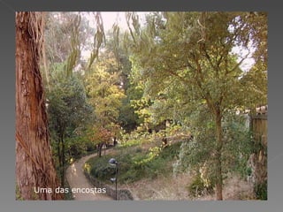 Uma das encostas 