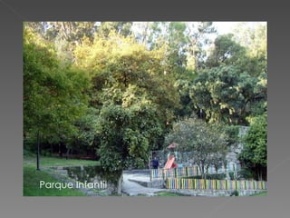 Parque Infantil 