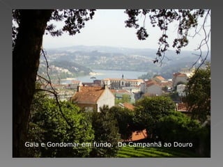 Gaia e Gondomar em fundo.  De Campanhã ao Douro 