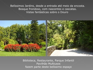 Belíssimos Jardins, desde a entrada até meio da encosta. Bosque frondoso, com nascentes e cascatas. Vistas fantásticas sobre o Douro  Biblioteca, Restaurante, Parque Infantil Pavilhão Multiusos fazem parte deste belíssimo espaço 