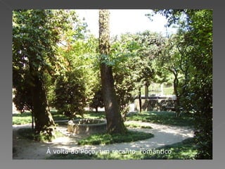 À volta do Poço, um recanto  romântico 