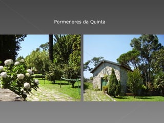 Pormenores da Quinta 