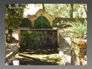 Nascente 
