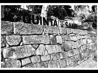 Exposição Fotográfica - Quinta Museu de Santiago