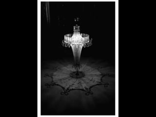 Exposição Fotográfica - Quinta Museu de Santiago