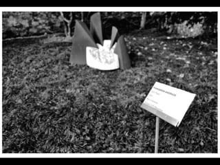 Exposição Fotográfica - Quinta Museu de Santiago