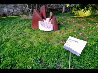 Exposição Fotográfica - Quinta Museu de Santiago