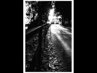 Exposição Fotográfica - Quinta Museu de Santiago
