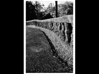Exposição Fotográfica - Quinta Museu de Santiago