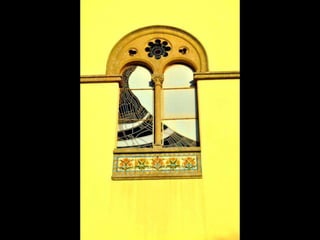 Exposição Fotográfica - Quinta Museu de Santiago