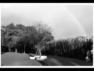 Exposição Fotográfica - Quinta Museu de Santiago