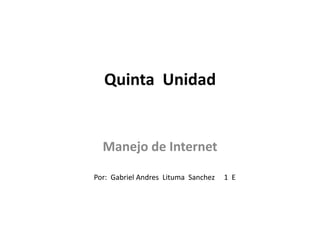 Quinta  Unidad Manejo de Internet Por:  Gabriel Andres  Lituma  Sanchez     1  E      