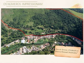 OS NÚMEROS IMPRESSIONAM
 