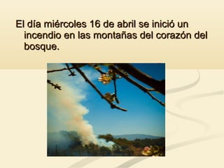 El día miércoles 16 de abril se inició unEl día miércoles 16 de abril se inició un
incendio en las montañas del corazón delincendio en las montañas del corazón del
bosque.bosque.
 