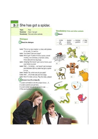 Quinto grado  activity 8