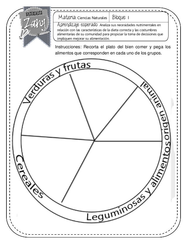 Quinto Grado Todas Las Materias Material Didactico
