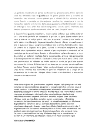 Los parásitos intestinales en perros pueden ser una problema serio. Debes aprender
sobre los diferentes tipos de gusanos que los perros pueden tener y la forma de
prevenirlos. Las personas también pueden por la mayoría de los parásitos de los
perros. Cuando tu mascota sea diagnosticada con ellos, ten precaución a la hora de
manejarlo y tratarlo. En la mayoría de los casos puedes hacer la identificación en casa.
Sin embargo si nunca antes has tratado congusanos, consulta con tu veterinario. Las
medidas preventivas pueden mantenerte tanto a ti como a tu perro sanos.
Si tu perro tiene gusanos intestinales, existen varios síntomas que podrías notar en
casa. Uno de los primeros en aparecer es el picazón. Tu perro podría sentarse en el
suelo y arrastar sus nalgas por el suelo para arrascarse. También podría morder su
parte trasera repetidamente. Los gusanos adultos, huevos y larvas se expelen por el
ano, lo que puede causar una gran incomodidad para tu animal. También podrías notar
un cambio en el aspecto de tu perro. Durante la infestación temprana, tu perro
perderá peso rápidamente. Esto es debido a que los gusanos se alimentan de los
nutrientes que tu perro ingiere. Cuando la infestación se vuelve más severa, tu perro
desarrollará un abdomen hinchado. Podría parecer gordo a primera vista pero cuando
te acercas puedes ver sus costillas a través de su pelaje y los huesos de su cadera serán
bien pronunciados. El abdomen se hincha debido al exceso de gases que sueltan
los gusanos. Un síntoma definitivo que tal vez notes son los gusanos que se expelen en
sus heces. Algunos son muy largos y otros son tan diminutos como un grano de arroz.
Unos de los síntomas más alarmantes de parásitos intestinales es la sangre en los
excrementos de tu mascota. Siempre debes llamar a un veterinario si encuentras
sangres en sus excrementos
TIPOS
Entre todos los parásitos que infectan a los perros hay seis tipos principales. Los más
comunes son los anquilostomas. Los perros se contagian con ellos comiendo larvas o
huevos perdidos. Estos huevos o larvas pueden permanecer en la hierba después
de ser expulsadas por un animal infectado durante meses. Los anquilostomas pueden
causar una anemia severa e incluso letal en animales jóvenes. Las lombrices
intestinales infectan a los perros prenatales o cuando un perro come un animal
infectado como una rata. Estas lombrices suelen causar muchas infecciones
secundarias, incluyendo neumonía bacterial. Los tricocéfalos pueden ser difíciles de
diagnosticar. Se transmiten por vía oral-fecal. Las solitarias son los parásitos
intestinales más grandes. Pueden crecer hasta 10 pies (304,8 centímetros) o más. El
diagnóstico se hace observando las larvas parecidas al arroz en los excrementos. Las
giardiasis y coccidiosis son dos tipos de coccidia que afecta a los perros de forma
frecuente. Estas dos últimas son muy difíciles de diagnosticar y se necesitará el
examen de un veterinario. La detección sólo se puede hacer con microscopio.
TRATAMIENTO/PREVENCIÓN
 