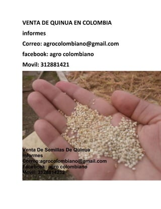 VENTA DE QUINUA EN COLOMBIA
informes
Correo: agrocolombiano@gmail.com
facebook: agro colombiano
Movil: 312881421
 