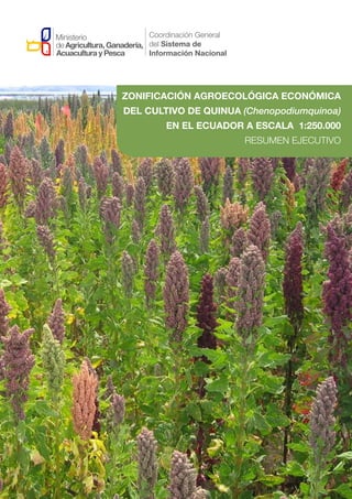 ZONIFICACIÓN AGROECOLÓGICA ECONÓMICA
DEL CULTIVO DE QUINUA (Chenopodiumquinoa)
EN EL ECUADOR A ESCALA 1:250.000
RESUMEN EJECUTIVO
 