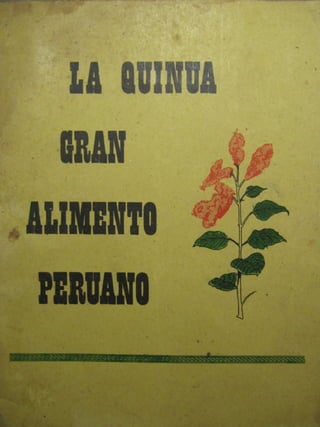 La quinua, gran alimento peruano