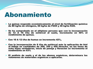 Abonamiento
 La quinua responde económicamente al nivel de fertilización química
de 80 kg/ha de nitrógeno, 60 kg/ha de P2O5 y 40 kg/ha K2O.
 Se ha comprobado en el altiplano peruano que con la incorporación
de 12 A 16 t/ha de estiércol al suelo, incrementa en 40% el
rendimiento de quinua.
 Con 10 A 12 t/ha de humus se incrementa 42%,
 Con la incorporación de 8 t/ha de estiércol más la aplicación de biol
al follaje en cantidades de 300, 350 y 450 litros/ha, en las fases de
ocho hojas verdaderas, inicio de panoja y floración se incrementa el
rendimiento en 63%
 El análisis de suelo y el de los abonos orgánicos, determinara los
volúmenes de materiales orgánicos a aplicarse.
 