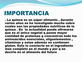 IMPORTANCIA
. La quinua es un súper alimento , durante
varios años se ha investigado mucho sobre
cuales son las propiedades nutritivas de la
quinua . En la actualidad puede afirmarse
que es el único vegetal q posee mayor
cantidad de proteínas q concentran todo los
aminoácidos esenciales, oligoelementos ,
vitaminas y estas además no contienen
gluten. Esto lo convierte en el ingrediente
mas completo en el mundo y por q no
decirlo en el alimento del futuro
 