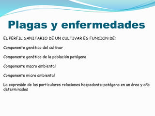 Plagas y enfermedades
EL PERFIL SANITARIO DE UN CULTIVAR ES FUNCION DE:
Componente genético del cultivar
Componente genético de la población patógena
Componente macro ambiental
Componente micro ambiental
La expresión de las particulares relaciones hospedante-patógeno en un área y año
determinados
 