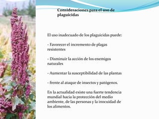 Consideraciones para el uso de
plaguicidas
El uso inadecuado de los plaguicidas puede:
- Favorecer el incremento de plagas
resistentes
- Disminuir la acción de los enemigos
naturales
- Aumentar la susceptibilidad de las plantas
- frente al ataque de insectos y patógenos.
En la actualidad existe una fuerte tendencia
mundial hacia la protección del medio
ambiente, de las personas y la inocuidad de
los alimentos.
 