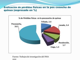 Evaluación de pérdidas físicas en la pos cosecha de
quinua (expresado en %)
Fuente: Trabajos de investigación del INIA
2010
 