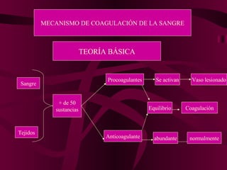 MECANISMO DE COAGULACIÓN DE LA SANGRE TEORÍA BÁSICA Sangre Tejidos + de 50 sustancias Procoagulantes Anticoagulante Equilibrio Coagulación abundante normalmente Se activan Vaso lesionado 
