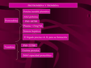 PROTROMBINA Y TROMBINA Protrombina Proteína inestable plasmática Alfa2-globulina PM= 68700 Plasma =15mg*dL Síntesis hepático El hígado precisa vit. K para su formación Trombina PM= 33700 Enzima proteica Débil capacidad proteolítica 