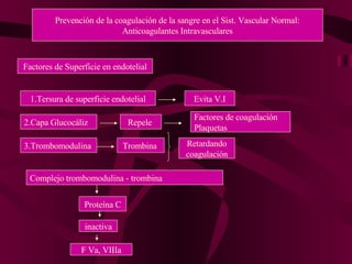 Prevención de la coagulación de la sangre en el Sist. Vascular Normal: Anticoagulantes Intravasculares Factores de Superficie en endotelial 1.Tersura de superficie endotelial Evita V.I 2.Capa Glucocáliz Repele  Factores de coagulación Plaquetas  3.Trombomodulina Trombina  Retardando coagulación Complejo trombomodulina - trombina Proteína C inactiva F Va, VIIIa 