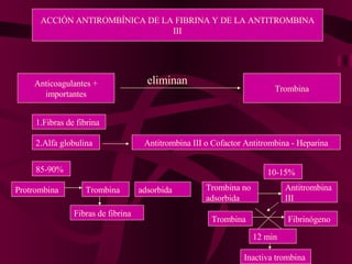 ACCIÓN ANTIROMBÍNICA DE LA FIBRINA Y DE LA ANTITROMBINA III Anticoagulantes + importantes Trombina eliminan 1.Fibras de fibrina 2.Alfa globulina  Antitrombina III o Cofactor Antitrombina - Heparina 85-90% Protrombina Trombina Fibras de fibrina 10-15% adsorbida Trombina no adsorbida Antitrombina III Trombina Fibrinógeno 12 min Inactiva trombina 