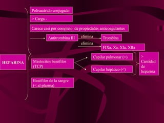 HEPARINA Polisacárido conjugado > Carga - Carece casi por completo  de propiedades anticoagulantes Antitrombina III elimina Trombina elimina FIXa, Xa, XIa, XIIa Mastocitos basófilos (TCP) Basófilos de la sangre (< al plasma) Capilar pulmonar (>) Capilar hepático (<) > Cantidad de heparina 