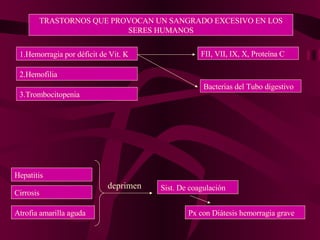 TRASTORNOS QUE PROVOCAN UN SANGRADO EXCESIVO EN LOS SERES HUMANOS 1.Hemorragia por déficit de Vit. K 2.Hemofilia  3.Trombocitopenia FII, VII, IX, X, Proteína C Bacterias del Tubo digestivo Hepatitis Cirrosis Atrofia amarilla aguda deprimen Sist. De coagulación Px con Diátesis hemorragia grave 
