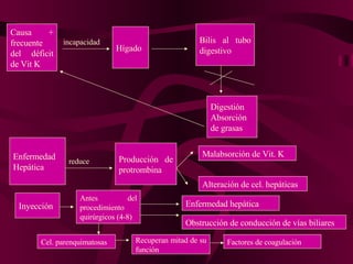 Causa + frecuente del déficit de Vit K Hígado  Bilis al tubo digestivo incapacidad Digestión Absorción de grasas Enfermedad Hepática reduce Producción de protrombina Malabsorción de Vit. K Alteración de cel. hepáticas Inyección Antes del procedimiento quirúrgicos (4-8) Enfermedad hepática Obstrucción de conducción de vías biliares Cel. parenquimatosas Recuperan mitad de su función Factores de coagulación 