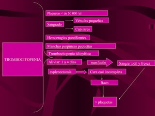 TROMBOCITOPENIA Plaquetas < de 50 000 /ul Sangrado  Vénulas pequeñas Capilares Hemorragias puntiformes Manchas purpúreas pequeñas Trombocitopenia idiopática Aliviar: 1 a 4 días  transfusión Sangre total y fresca  esplenectomía Cura casi incompleta > plaquetas Bazo 
