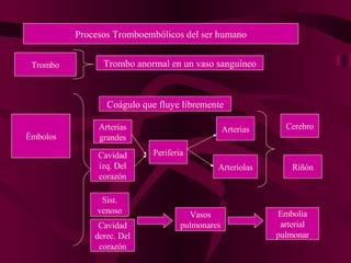 Procesos Tromboembólicos del ser humano Trombo Émbolos Trombo anormal en un vaso sanguíneo Coágulo que fluye libremente Arterias grandes Cavidad izq. Del corazón Periferia Arterias Arteriolas Riñón Cerebro Sist. venoso Cavidad derec. Del corazón Vasos pulmonares Embolia arterial pulmonar 