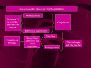 Etiología de los procesos Tromboembólicos Rugosidad de la superficie endotelial de un vaso Arteriosclerosis  Infección o traumatismo Coagulación Coagulación de sangre  Sangre fluye lentamente por vasos sanguíneos Trombina Procoagulantes Eliminados por cel.  De Kupffer 
