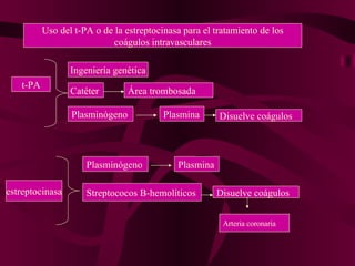 Uso del t-PA o de la estreptocinasa para el tratamiento de los coágulos intravasculares t-PA Ingeniería genética Catéter  Área trombosada Plasminógeno Plasmina Disuelve coágulos estreptocinasa Plasminógeno Plasmina Streptococos B-hemolíticos Disuelve coágulos Arteria coronaria 