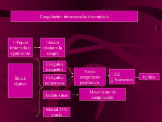 Coagulación intravascular diseminada > Tejido lesionado o agonizante >factor tisular a la sangre Shock séptico Coágulos pequeños Coágulos numerosos Vasos sanguíneos periféricos Endotoxinas Mecanismo de coagulación O2 Nutrientes tejidos Mortal 85% o más 