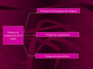 Pruebas de coagulación de la sangre Tiempo de hemorragia (de sangría) Tiempo de coagulación Tiempo de protrombina 