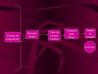 Tiempo de coagulación Recoger sangre Tubo de ensayo (vidrio) Voltearlo cada 30seg. Sangre se coagula 6 a10 min. 