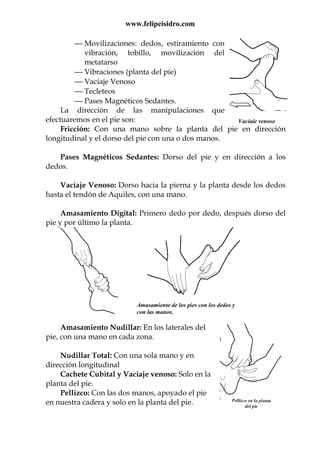 www.felipeisidro.com
Amasamiento de los pies con los dedos y
con las manos.
 Movilizaciones: dedos, estiramiento con
vibración, tobillo, movilización del
metatarso
 Vibraciones (planta del pie)
 Vaciaje Venoso
 Tecleteos
 Pases Magnéticos Sedantes.
La dirección de las manipulaciones que
efectuaremos en el pie son:
Fricción: Con una mano sobre la planta del pie en dirección
longitudinal y el dorso del pie con una o dos manos.
Pases Magnéticos Sedantes: Dorso del pie y en dirección a los
dedos.
Vaciaje Venoso: Dorso hacia la pierna y la planta desde los dedos
hasta el tendón de Aquiles, con una mano.
Amasamiento Digital: Primero dedo por dedo, después dorso del
pie y por último la planta.
Amasamiento Nudillar: En los laterales del
pie, con una mano en cada zona.
Nudillar Total: Con una sola mano y en
dirección longitudinal
Cachete Cubital y Vaciaje venoso: Solo en la
planta del pie.
Pellizco: Con las dos manos, apoyado el pie
en nuestra cadera y solo en la planta del pie.
Vaciaje venoso
 