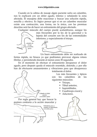 www.felipeisidro.com
Cuando en la cabina de masaje algún paciente sufra un calambre,
nos lo explicará con un dolor agudo, intenso y señalando la zona
afectada. El masajista debe reaccionar y buscar una solución rápida,
sencilla y efectiva. Es lógico pensar que si en un calambre muscular
existe una contracción, una forma, no la única, con las premisas
descritas será las de hacer un estiramiento del grupo afectado.
Cualquier músculo del cuerpo puede acalambrarse, aunque los
más frecuentes por la ley de la gravedad y la
lejanía del corazón son los de las extremidades
inferiores, y especialmente el tríceps.
Un buen estiramiento debe ser realizado de
forma rápida, no brusca ya que podríamos provocar alguna rotura
fibrilar, y persistiendo durante al menos unos 30 segundos.
En el momento de efectuar el estiramiento desaparece el dolor
agudo, pero después queda el músculo resentido, dolorido, y por ello
han de efectuarse amasamientos y vibraciones para que desaparezca
totalmente el dolor.
Los más frecuentes y típicos
son los calambres de los
siguientes músculos:
Tríceps,
Tibial anterior,
Isquiotibiales,
Cuadriceps crural y
Aductores.
Por regla general hay que buscar la
postura contraria a la acción muscular y
 