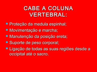 CABE A COLUNA
            VERTEBRAL:
   Proteção da medula espinhal;
   Movimentação e marcha;
   Manutenção da posição ereta;
   Suporte de peso corporal;
   Ligação de todas as suas regiões desde a
    occipital até o sacro.
 