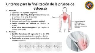 Criterios para la finalización de la prueba de
esfuerzo1. Absolutos
a. Dolor torácico anginoso progresivo
b. Descenso > 10 mmHg de la presión sistólica pese
al aumento de la carga de ejercicio
c. Arritmias severas/malignas.
d. Mala perfusión periférica (cianosis o palidez).
e. Deseo reiterado del paciente de detener la
prueba.
f. Mala señal electrocardiográfica que impida el
control del trazado.
2. Relativos
a. Cambios llamativos del segmento ST o del QRS
Fatiga, cansancio, claudicación muscular o disnea.
b. Taquicardias no severas incluyendo las paroxísticas
supraventriculares.
 