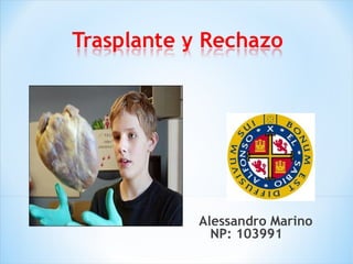Alessandro Marino
NP: 103991
 