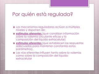 Por quién està regulada?
 Los mecanismos reguladores actúan a múltiples
niveles y disponen de:
 estímulos aferentes (que canalizan información
sobre la volemia circulante eficaz y la
composición del líquido extracelular)
 estimulos eferentes (que establecen las respuestas
adecuadas para mantener constantes estos
parámetros).
 Las vías eferentes influyen tanto sobre la volemia
como sobre la composición del líquido
extracelular
 