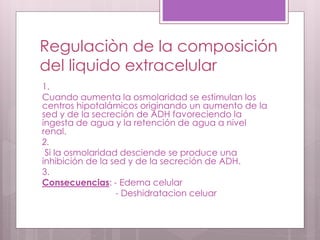 Regulaciòn de la composición
del liquido extracelular
1.
Cuando aumenta la osmolaridad se estimulan los
centros hipotalámicos originando un aumento de la
sed y de la secreción de ADH favoreciendo la
ingesta de agua y la retención de agua a nivel
renal.
2.
Si la osmolaridad desciende se produce una
inhibición de la sed y de la secreción de ADH.
3.
Consecuencias: - Edema celular
- Deshidratacion celuar
 